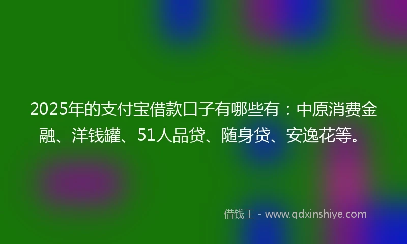 2025年的支付宝借款口子有哪些有：中原消费金融、洋钱罐、51人品贷、随身贷、安逸花等。