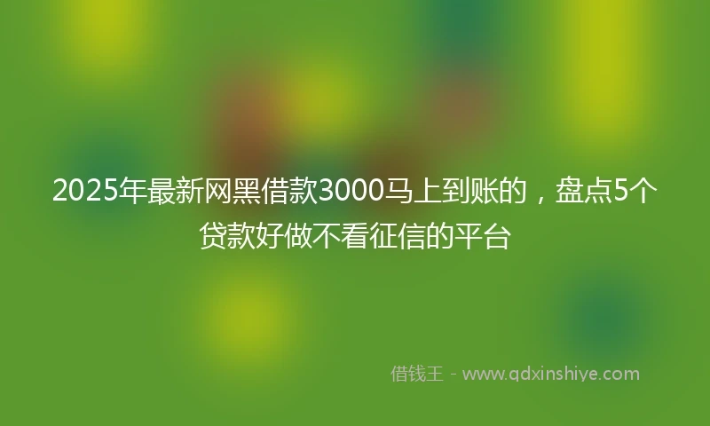 2025年最新网黑借款3000马上到账的，盘点5个贷款好做不看征信的平台
