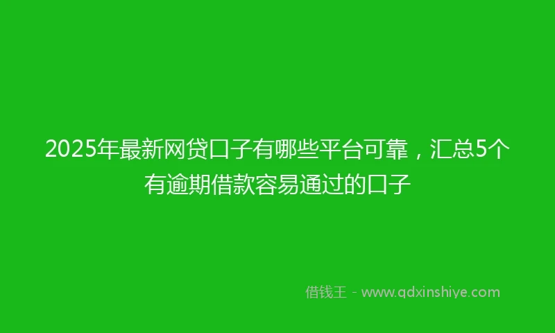 2025年最新网贷口子有哪些平台可靠，汇总5个有逾期借款容易通过的口子
