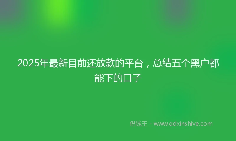 2025年最新目前还放款的平台，总结五个黑户都能下的口子