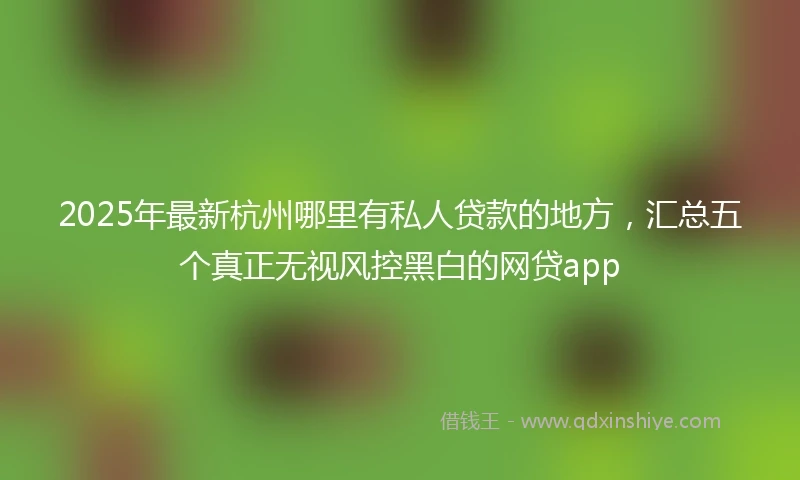 2025年最新杭州哪里有私人贷款的地方，汇总五个真正无视风控黑白的网贷app