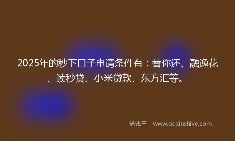 2025年的秒下口子申请条件有：替你还、融逸花、读秒贷、小米贷款、东方汇等。