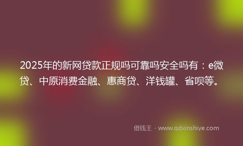 2025年的新网贷款正规吗可靠吗安全吗有：e微贷、中原消费金融、惠商贷、洋钱罐、省呗等。