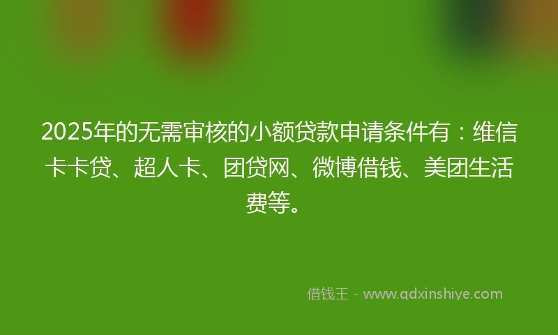 2025年的无需审核的小额贷款申请条件有：维信卡卡贷、超人卡、团贷网、微博借钱、美团生活费等。