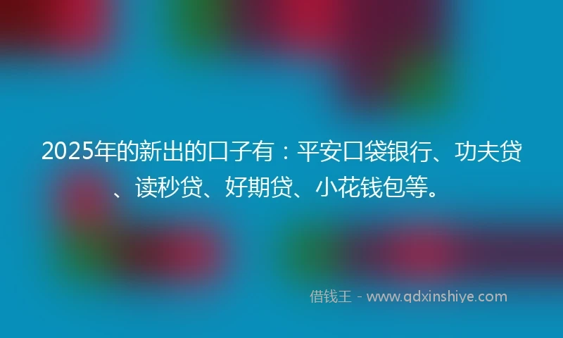 2025年的新出的口子有：平安口袋银行、功夫贷、读秒贷、好期贷、小花钱包等。