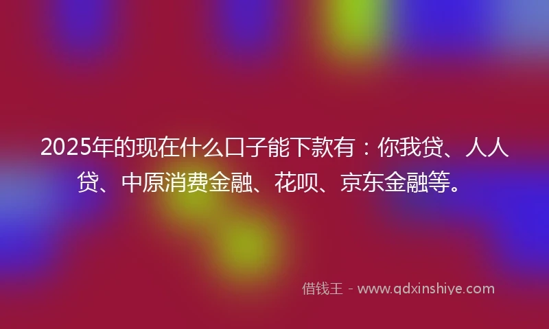 2025年的现在什么口子能下款有：你我贷、人人贷、中原消费金融、花呗、京东金融等。