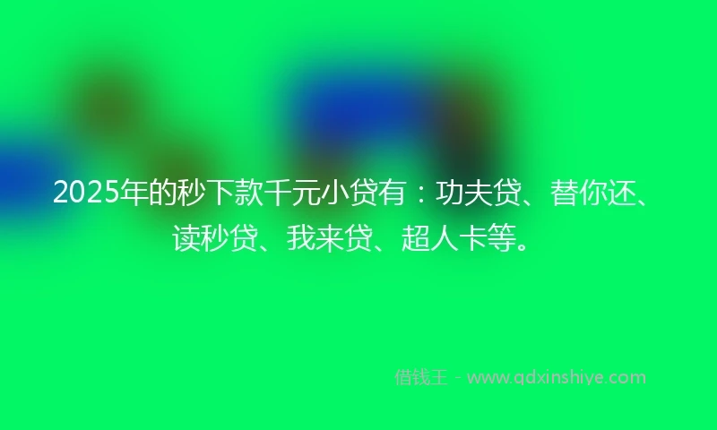 2025年的秒下款千元小贷有：功夫贷、替你还、读秒贷、我来贷、超人卡等。