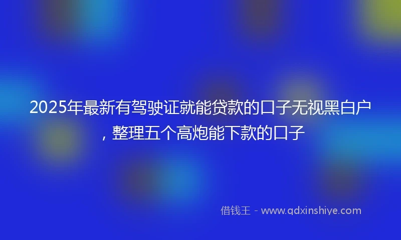 2025年最新有驾驶证就能贷款的口子无视黑白户，整理五个高炮能下款的口子