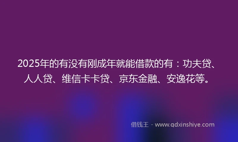 2025年的有没有刚成年就能借款的有：功夫贷、人人贷、维信卡卡贷、京东金融、安逸花等。