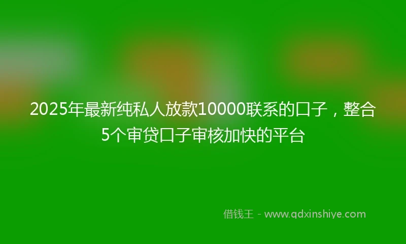 2025年最新纯私人放款10000联系的口子，整合5个审贷口子审核加快的平台