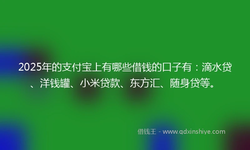 2025年的支付宝上有哪些借钱的口子有：滴水贷、洋钱罐、小米贷款、东方汇、随身贷等。