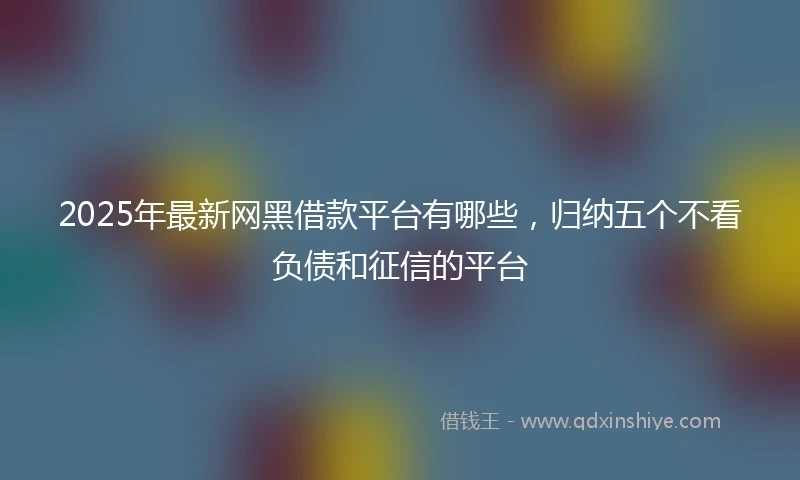 2025年最新网黑借款平台有哪些，归纳五个不看负债和征信的平台