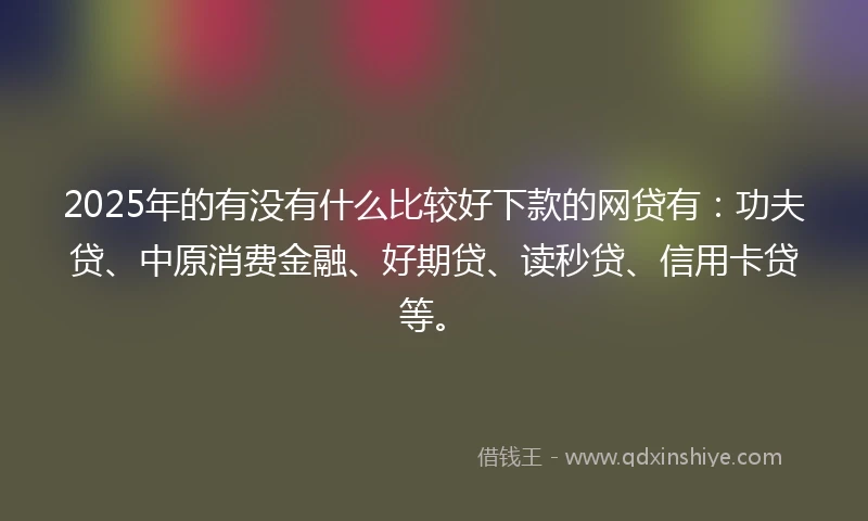 2025年的有没有什么比较好下款的网贷有：功夫贷、中原消费金融、好期贷、读秒贷、信用卡贷等。