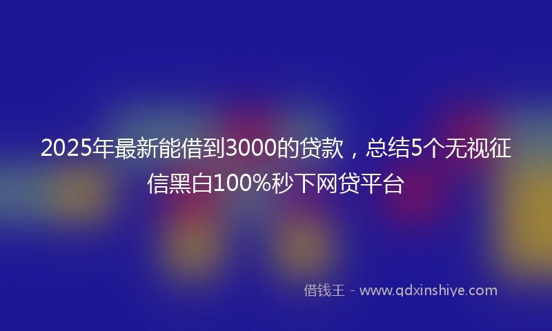 2025年最新能借到3000的贷款，总结5个无视征信黑白100%秒下网贷平台