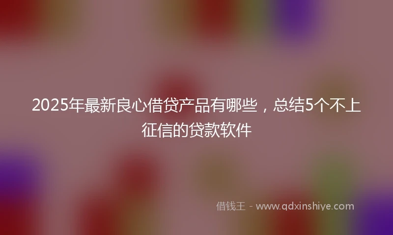 2025年最新良心借贷产品有哪些，总结5个不上征信的贷款软件