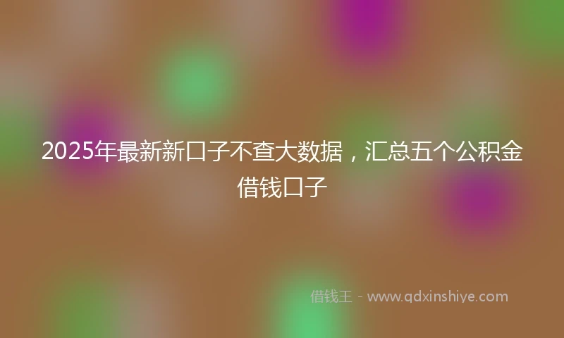2025年最新新口子不查大数据，汇总五个公积金借钱口子