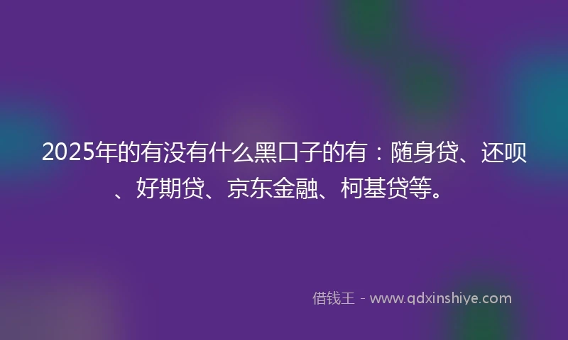 2025年的有没有什么黑口子的有：随身贷、还呗、好期贷、京东金融、柯基贷等。