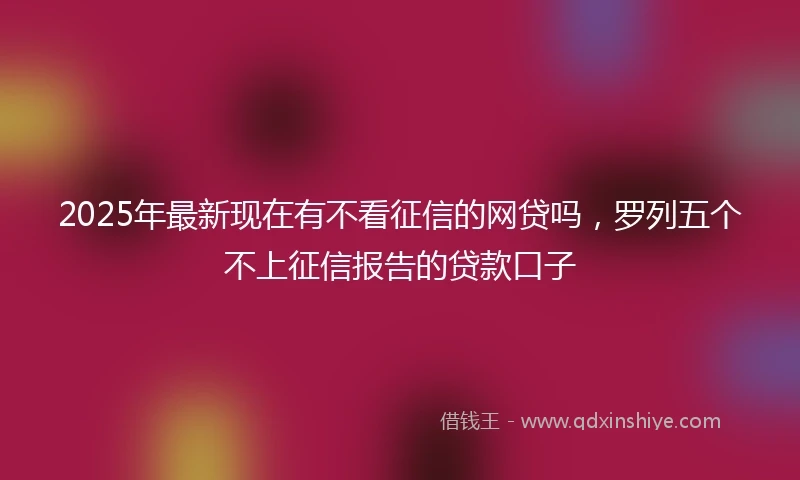 2025年最新现在有不看征信的网贷吗，罗列五个不上征信报告的贷款口子