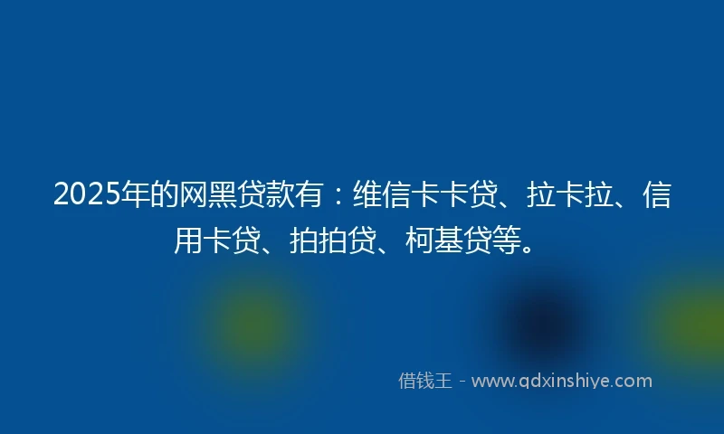 2025年的网黑贷款有：维信卡卡贷、拉卡拉、信用卡贷、拍拍贷、柯基贷等。