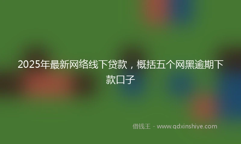 2025年最新网络线下贷款，概括五个网黑逾期下款口子