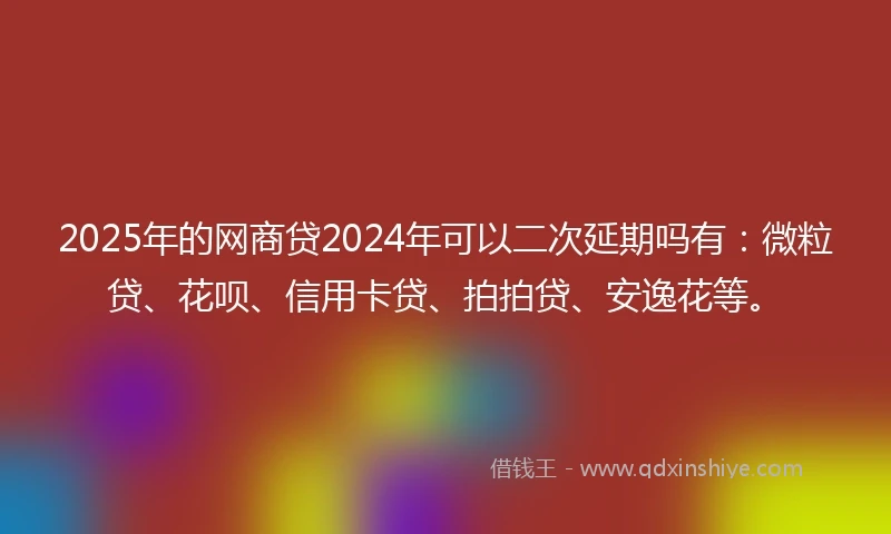 2025年的网商贷2024年可以二次延期吗有：微粒贷、花呗、信用卡贷、拍拍贷、安逸花等。