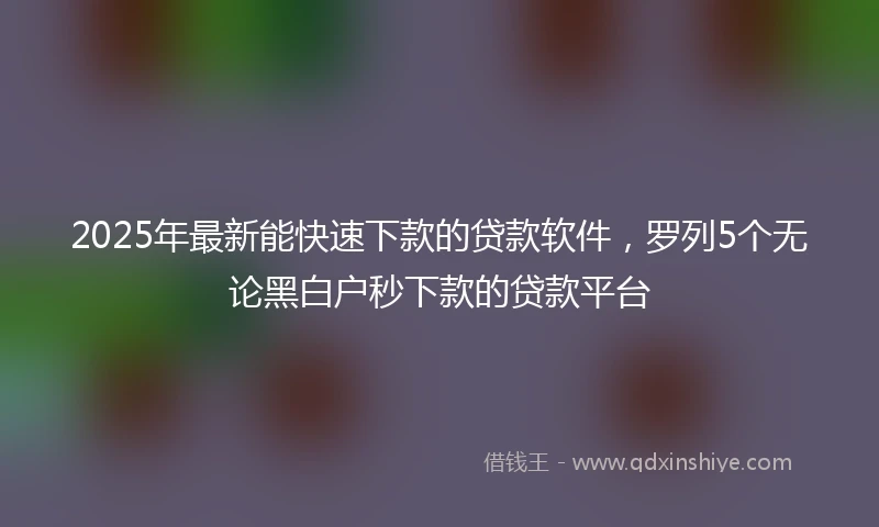 2025年最新能快速下款的贷款软件,罗列5个无论黑白户秒下款的贷款平台