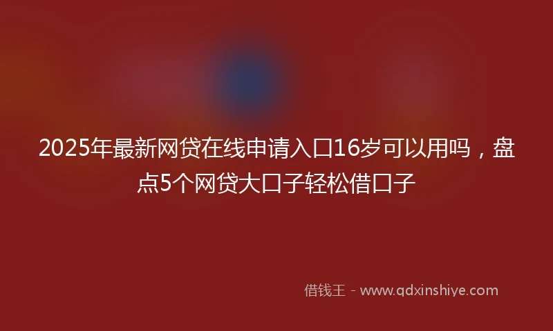 2025年最新网贷在线申请入口16岁可以用吗，盘点5个网贷大口子轻松借口子