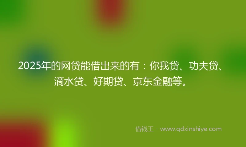 2025年的网贷能借出来的有：你我贷、功夫贷、滴水贷、好期贷、京东金融等。