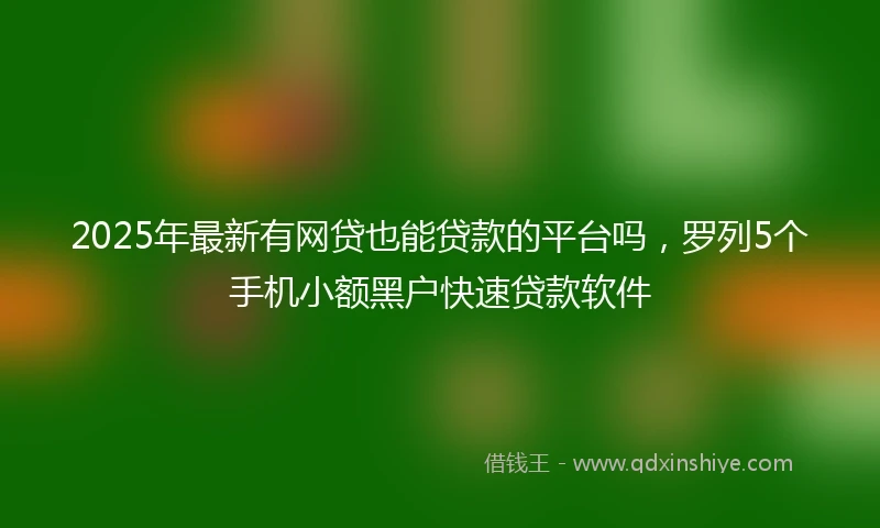 2025年最新有网贷也能贷款的平台吗，罗列5个手机小额黑户快速贷款软件