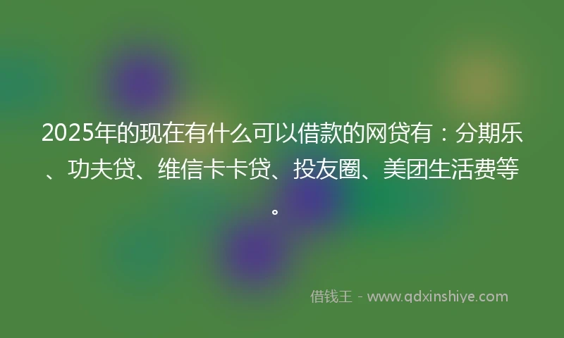 2025年的现在有什么可以借款的网贷有：分期乐、功夫贷、维信卡卡贷、投友圈、美团生活费等。