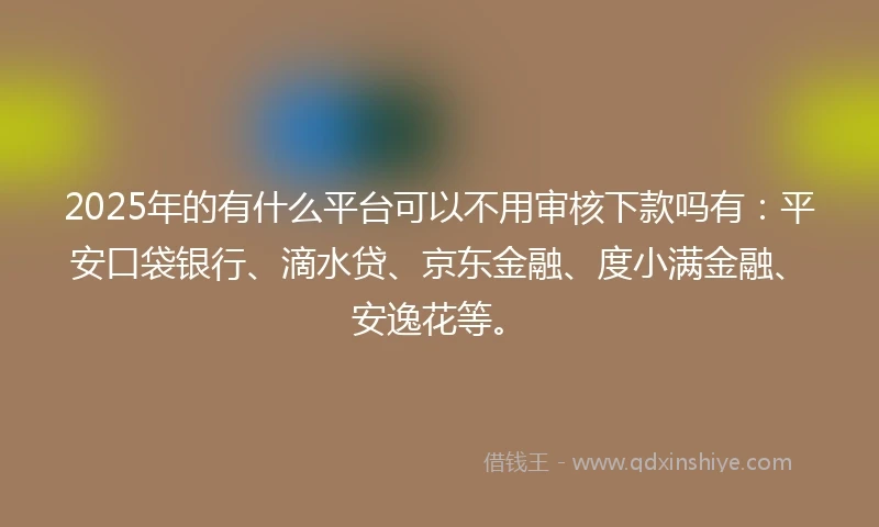 2025年的有什么平台可以不用审核下款吗有：平安口袋银行、滴水贷、京东金融、度小满金融、安逸花等。
