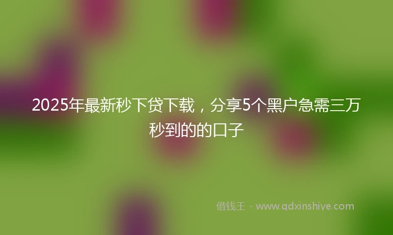 2025年最新秒下贷下载，分享5个黑户急需三万秒到的的口子