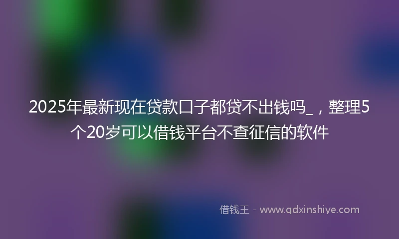 2025年最新现在贷款口子都贷不出钱吗_，整理5个20岁可以借钱平台不查征信的软件