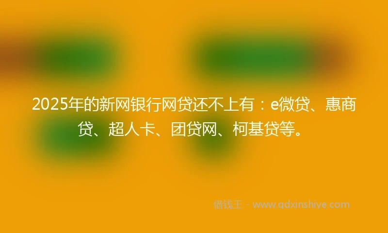 2025年的新网银行网贷还不上有：e微贷、惠商贷、超人卡、团贷网、柯基贷等。