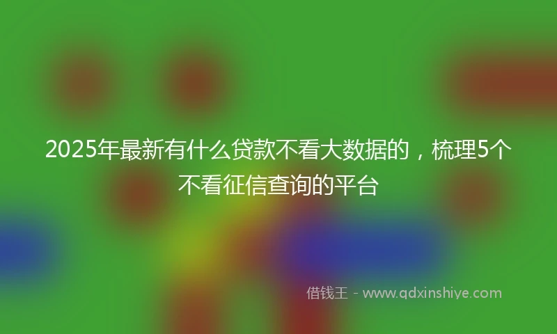 2025年最新有什么贷款不看大数据的，梳理5个不看征信查询的平台