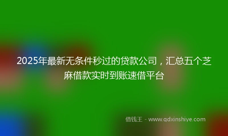2025年最新无条件秒过的贷款公司，汇总五个芝麻借款实时到账速借平台