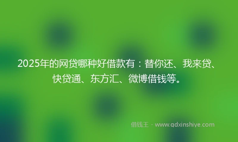 2025年的网贷哪种好借款有：替你还、我来贷、快贷通、东方汇、微博借钱等。