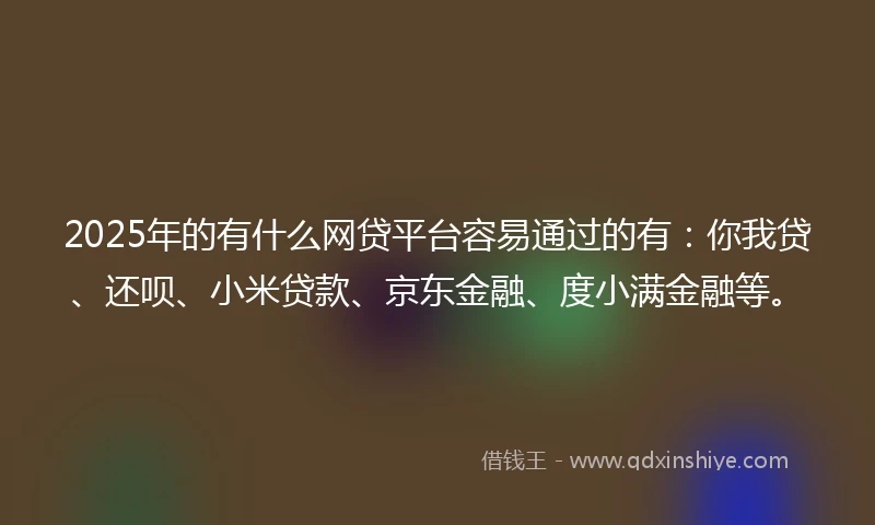 2025年的有什么网贷平台容易通过的有：你我贷、还呗、小米贷款、京东金融、度小满金融等。