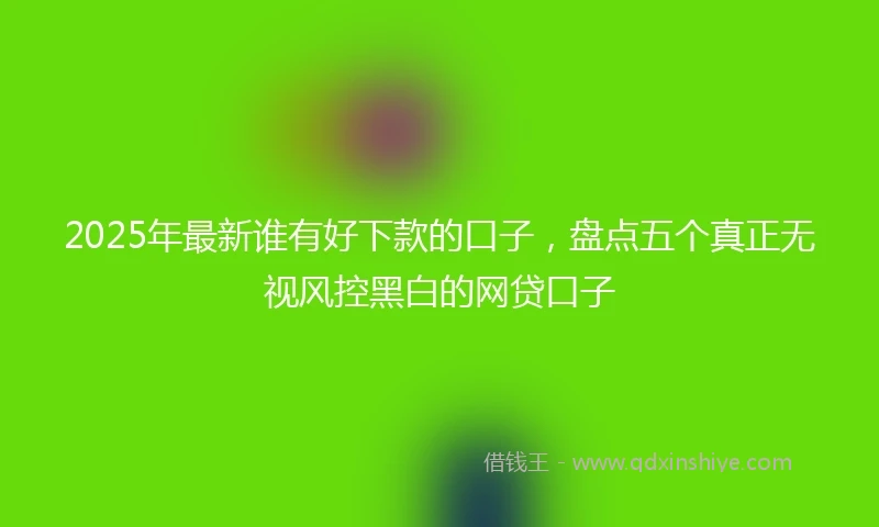 2025年最新谁有好下款的口子，盘点五个真正无视风控黑白的网贷口子