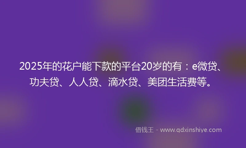 2025年的花户能下款的平台20岁的有：e微贷、功夫贷、人人贷、滴水贷、美团生活费等。