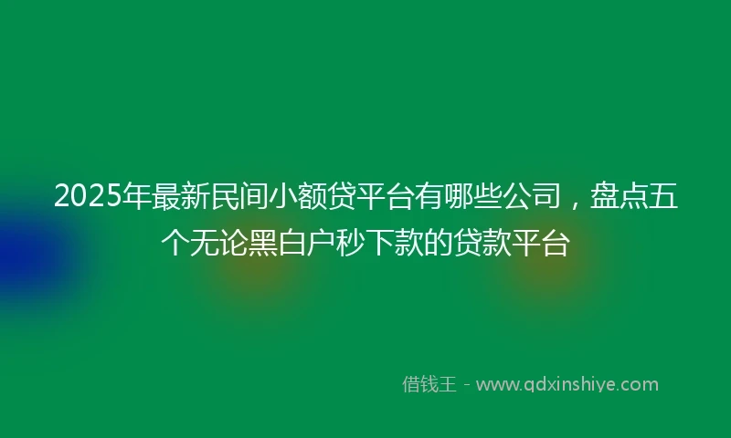 2025年最新民间小额贷平台有哪些公司，盘点五个无论黑白户秒下款的贷款平台
