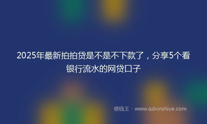 2025年最新拍拍贷是不是不下款了，分享5个看银行流水的网贷口子