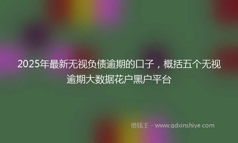 2025年最新无视负债逾期的口子，概括五个无视逾期大数据花户黑户平台