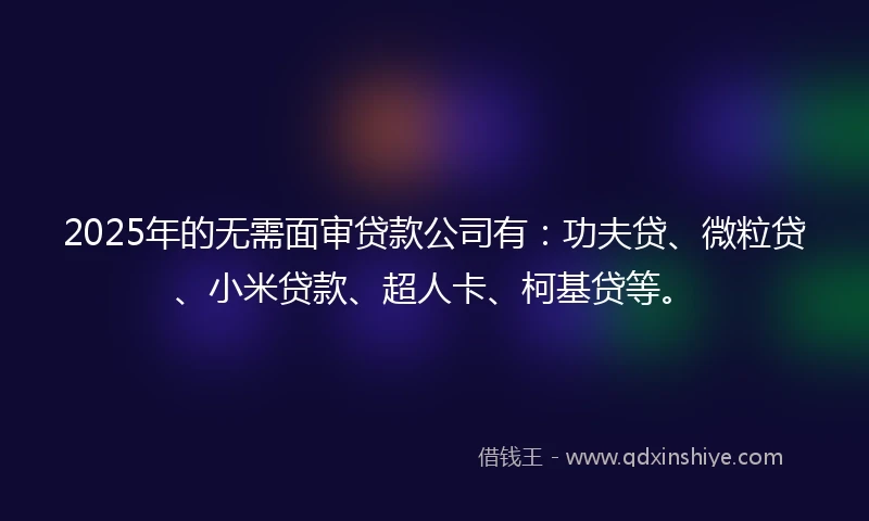 2025年的无需面审贷款公司有：功夫贷、微粒贷、小米贷款、超人卡、柯基贷等。