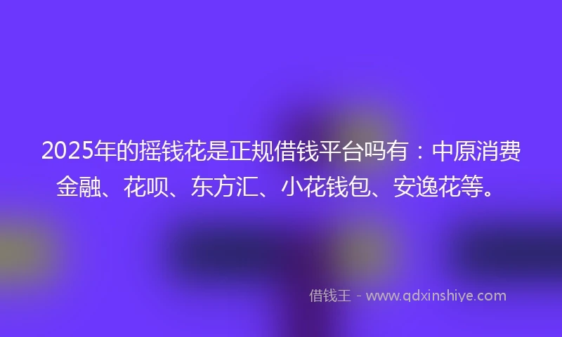 2025年的摇钱花是正规借钱平台吗有：中原消费金融、花呗、东方汇、小花钱包、安逸花等。