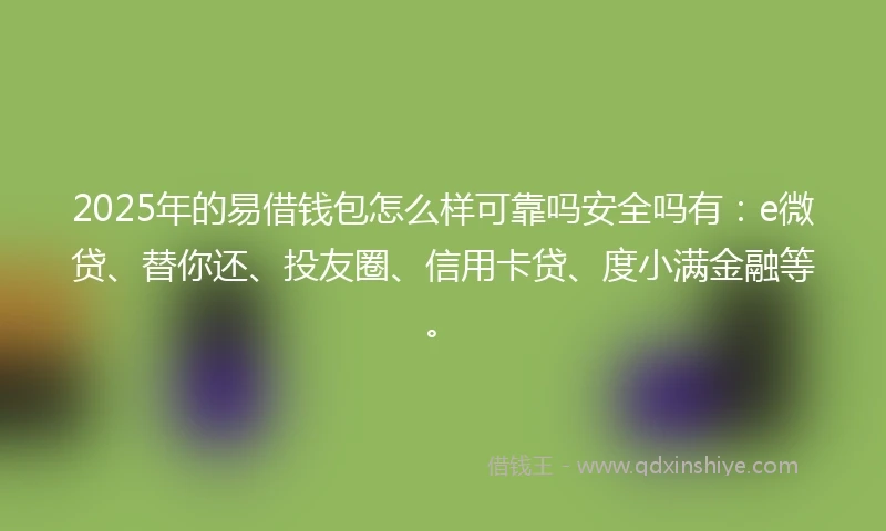 2025年的易借钱包怎么样可靠吗安全吗有：e微贷、替你还、投友圈、信用卡贷、度小满金融等。