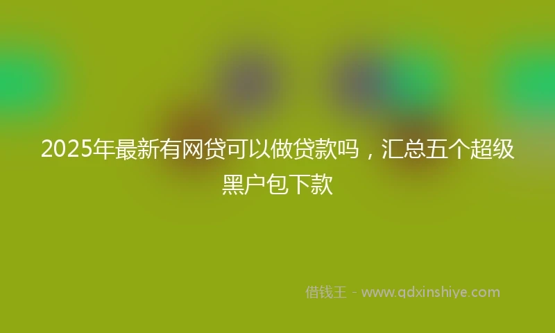 2025年最新有网贷可以做贷款吗，汇总五个超级黑户包下款
