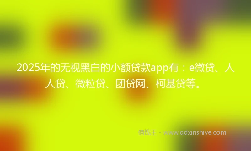 2025年的无视黑白的小额贷款app有：e微贷、人人贷、微粒贷、团贷网、柯基贷等。