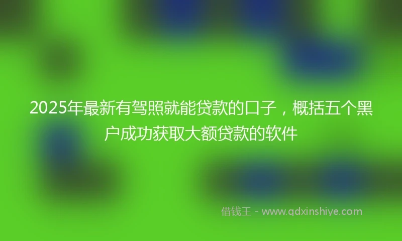 2025年最新有驾照就能贷款的口子，概括五个黑户成功获取大额贷款的软件