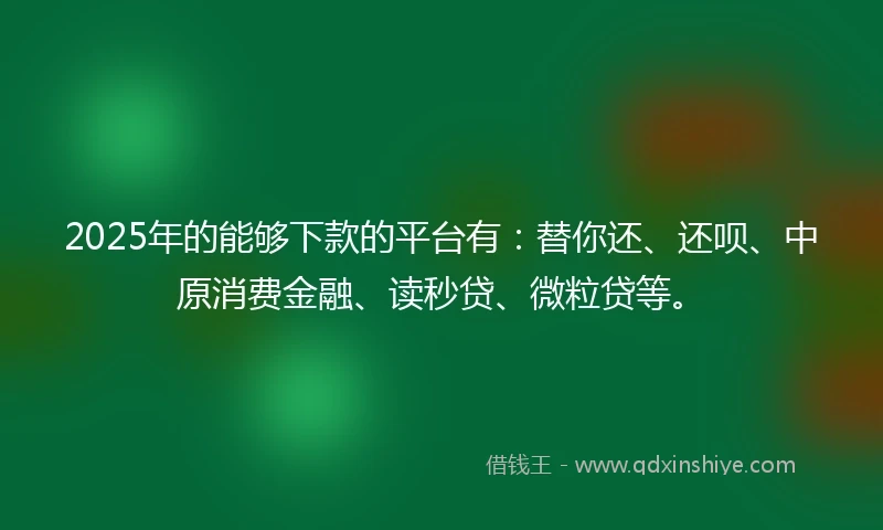 2025年的能够下款的平台有：替你还、还呗、中原消费金融、读秒贷、微粒贷等。